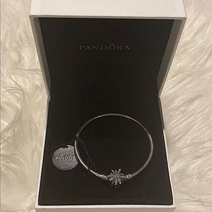 COPY - Pandora charm bracelet